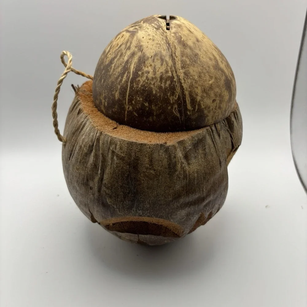 Hand Carved Coconut Monkey Bank Raw‎ from Indonesia 8x6x6